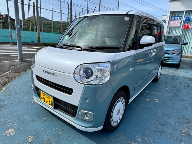 ムーヴキャンバス  ストライプス G