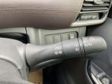 オートライトついてます。トンネルでいちいちスイッチ切り替えなくて良い感覚は使ってからしみじみ感じますよ。
