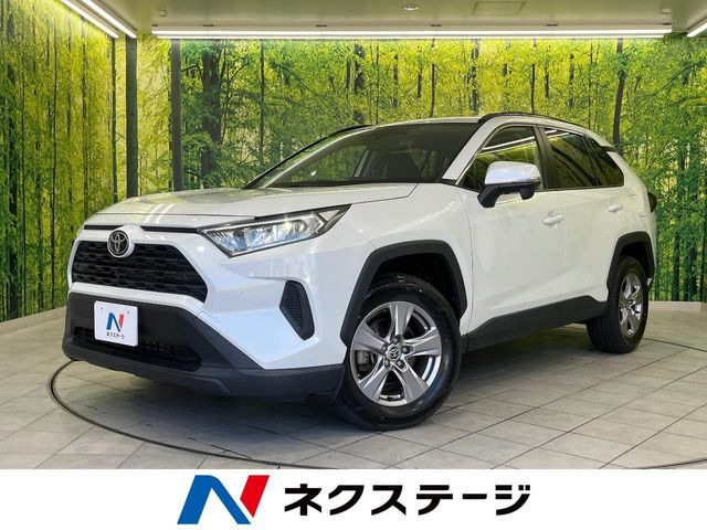 RAV42.0 X