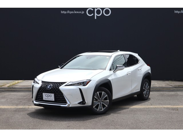 UX 300e バージョンC 