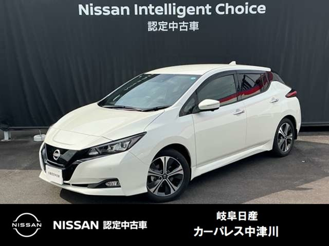 リーフ  X Vセレクション