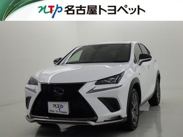NX 300 Fスポーツ 