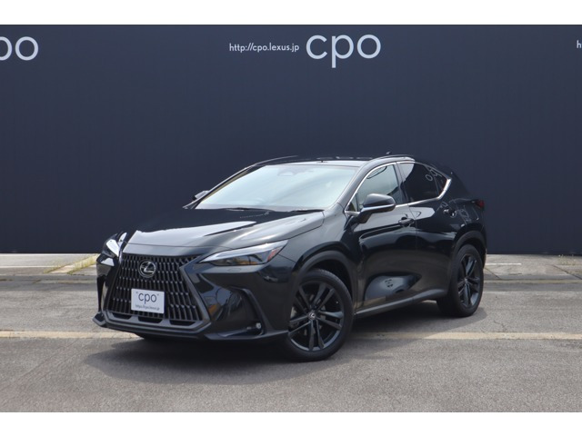 NX 250 バージョンL NX 250 バージョンL