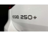 EQB250+エンブレム