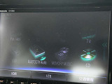 ナビゲーション機能の他に音楽録音、DVDビデオの再生にも対応しています。