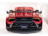 Snorkel and Rear Wing in Carbon Matt