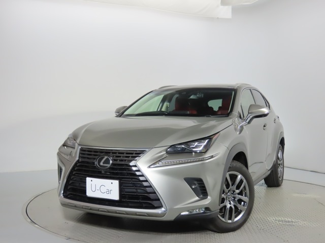 NX300 バージョンL 4WD