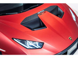Bezel, Louvers, Upper Fin in Matt Carbon