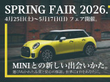 ミニエースマン E 