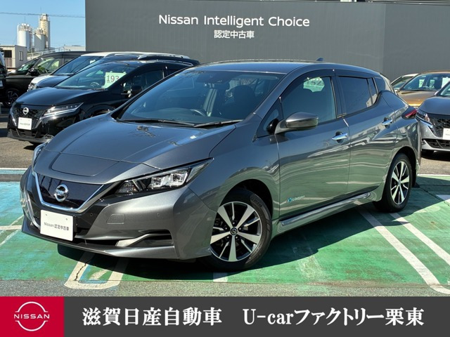 リーフ X 