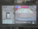 サクラ X 