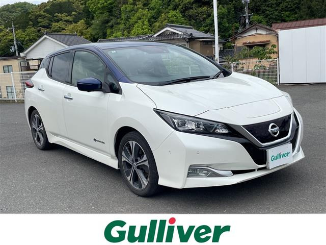 リーフ G 本革シート 修復歴無し