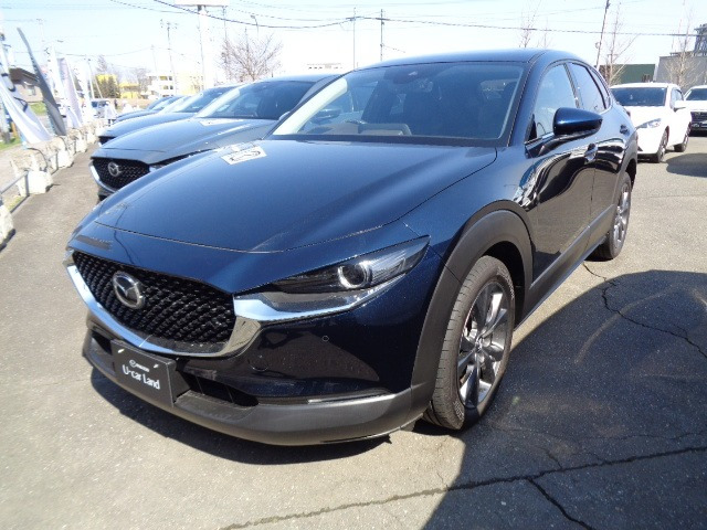 CX-30 2.0 X Lパッケージ 4WD 