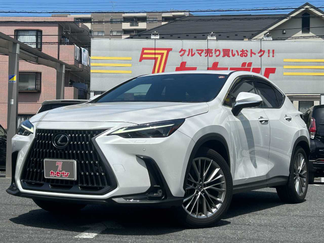 NX 250 バージョンL 