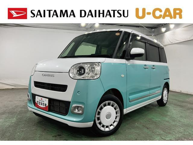 ムーヴキャンバス  ストライプス G
