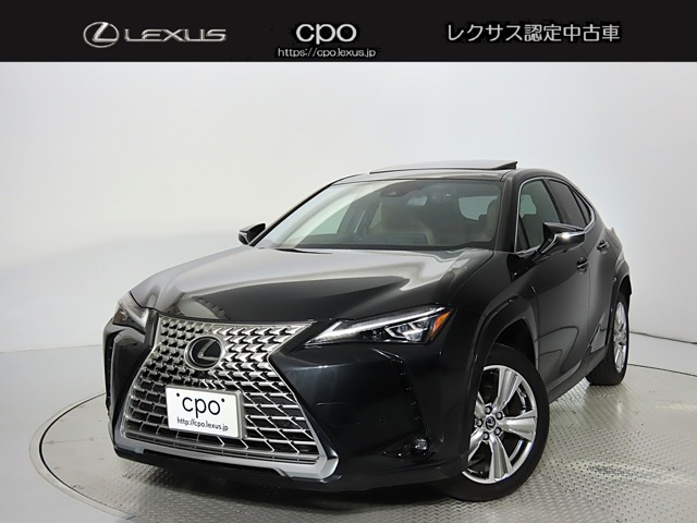 UX 250h グレイスフル エクスプローラー 