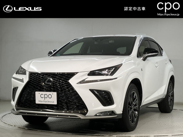 NX 300 クール&ブライト