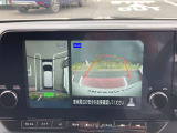 サクラ X 