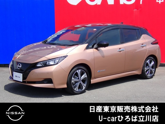 リーフ  X Vセレクション