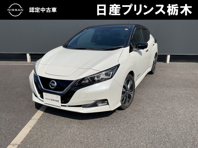 リーフ X 