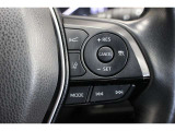 オートクルーズ、運転支援システムスイッチ。