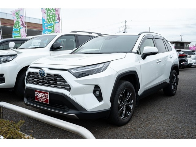 RAV4 2.5 ハイブリッド G E-Four 4WD 