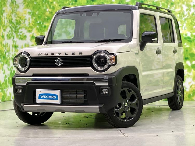 ハスラー タフワイルド 