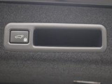 パワーバックドアのスイッチです。