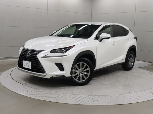 NX 300h Iパッケージ 