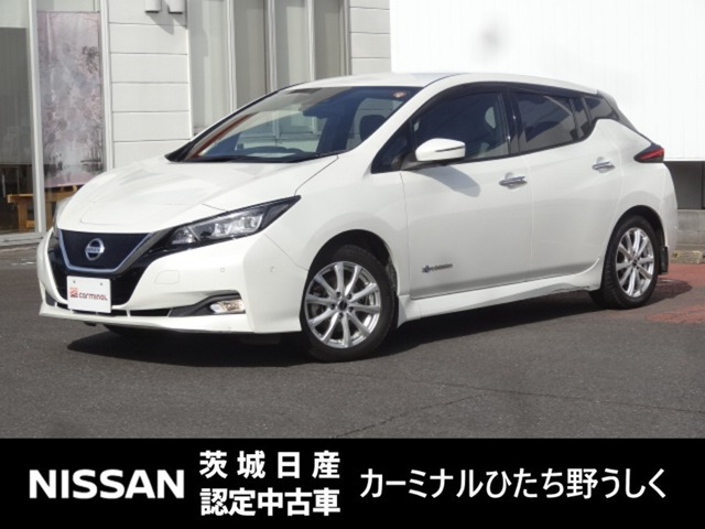 リーフ G 