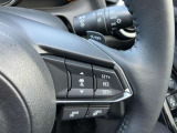 全車速追従機能付(MRCC)アクセルを離しても前方の車に合わせて走行ができます。