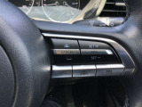 右はクルーズコントロールのスイッチで走行中も運転姿勢を崩すことなく設定できます。