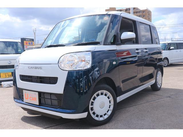 ムーヴキャンバス  ストライプス X