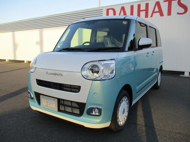 ムーヴキャンバス  ストライプス G