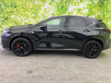 NX 350h Fスポーツ 4WD 