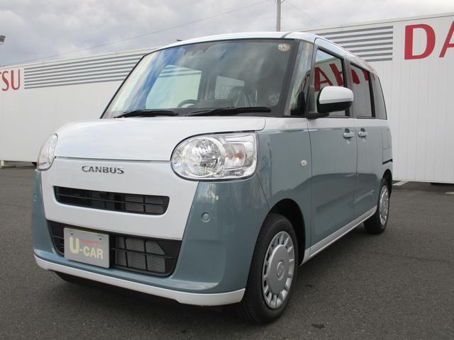ムーヴキャンバス  ストライプス X