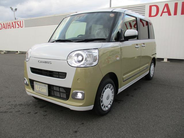 ムーヴキャンバス  ストライプス G