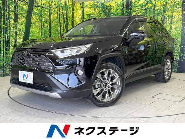 RAV4 2.0 G Zパッケージ 4WD 