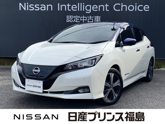 リーフ G 