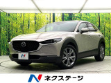 純正10型ナビ 全周囲カメラ 衝突被害軽減システム レーダークルーズ