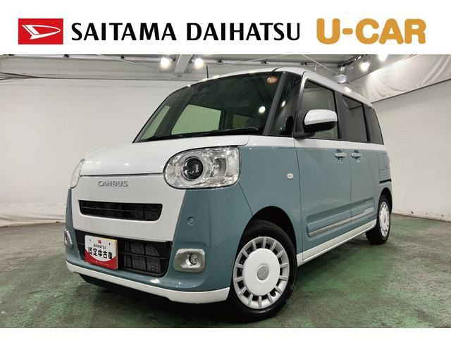 ムーヴキャンバス  ストライプス G