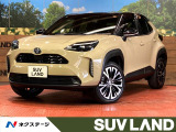 全周囲カメラ レーダークルーズコントロール ドライブレコーダー ETC