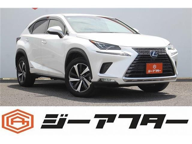 NX 300h バージョンL 禁煙車 純正10.3インチナビ フルセグTV