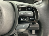 アクセルから足を離しても設定したスピードを保ち走行し、高速道路での疲労軽減に役立つクルーズコントロール、暖房が効くまでの間に手のひらをじんわり暖めてくれるステアリングヒーター付きです!