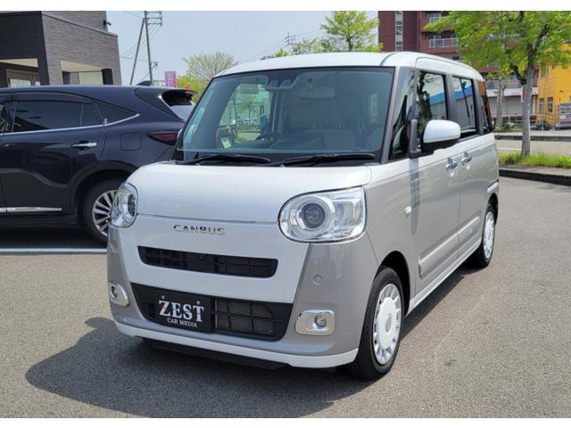 ムーヴキャンバス ストライプス G ディスプレイオーディオ パノラマ