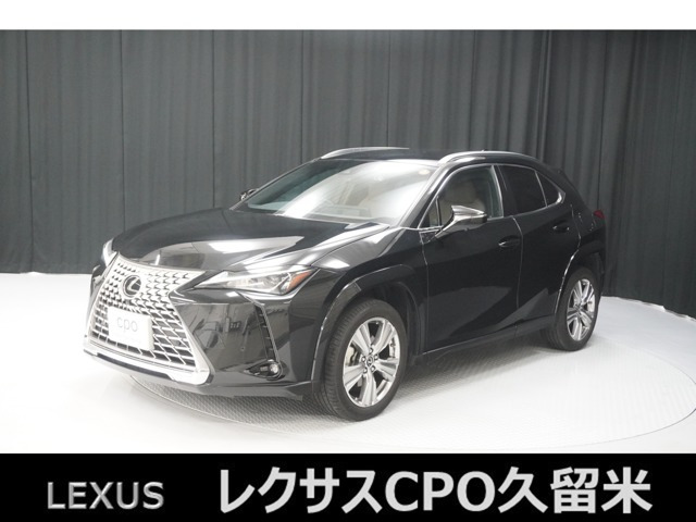 UX 250h グレイスフル エクスプローラー 