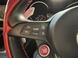 アダプティブクルーズコントロール&レーンキープアシストで高速道路の運転が楽に行えます。エンジンスタートスイッチがステアリングにございます。