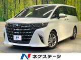 13.2型フリップダウンモニター 純正14型ナビ 全周囲カメラ