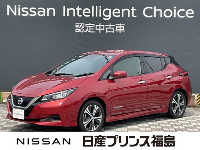 リーフ X 