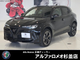 トルトーナブラックのJUNIOR Premiumの入荷です!